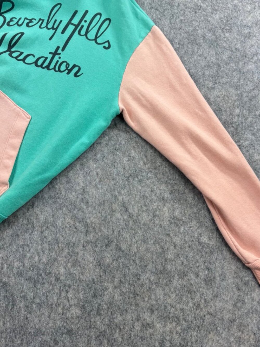 Wildfox Hoodie Sweatshirt Beverly Hills Vacation Sz S Pink Blue - Picture 8 of 9